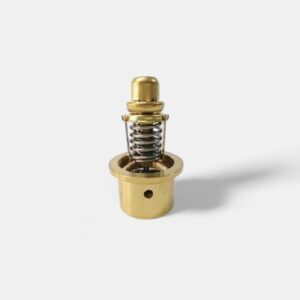 Thermostat Valve Kit - 250016-721