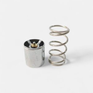 Thermostat Valve Kit - 50HP